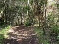 Caminata con follada y mamada al aire libre alguien nos descubre