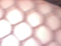 Rough Backshots From BBC 🤤