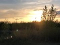 Masturbation While Watching The Sunset