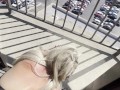 *VIEWS ON VIEWS ON VIEWS* pawg CHLOE BLACC taking huge BBC backshots on the balcony and loving it!