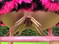 Poor little Tinkerbell pussy stretched and fucked hard outdoors is left spunked on
