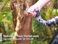 Hunter Jack Horse Dildo Review, from Nothosaur