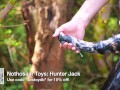 Hunter Jack Horse Dildo Review, from Nothosaur