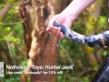 Hunter Jack Horse Dildo Review, from Nothosaur