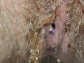 Natural hairy pussy pissing with menstrual cup inside 💦 Close up