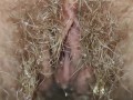 Natural hairy pussy pissing with menstrual cup inside 💦 Close up