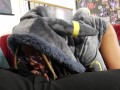 Umbreon Breeding Pov