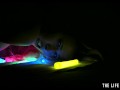 Watch this hot blonde plunge glowsticks in her pussy and ass