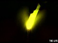 Watch this hot blonde plunge glowsticks in her pussy and ass