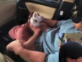 旦那に不倫を疑われて性液チェックされてる人妻はフェラ抜きする