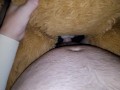 Teddy babes get fucked and cummed on