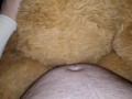 Teddy babes get fucked and cummed on