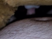 Teddy babes get fucked and cummed on