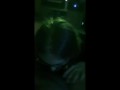 Real gf begs for a BWC creampie