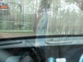 Fucked me in the ass in the car while walking in the woods
