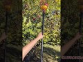 Blowjob in the Orchard