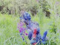 Avatar Monika Foxxx has fun with big dildos in nature