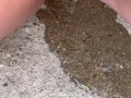 close up piss on the steps