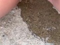close up piss on the steps