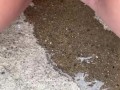 close up piss on the steps