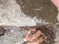 close up piss on the steps