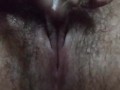 kitten masturbating after sitting cums cumming pulsating in front of the camera music reggae