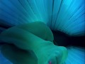 1 million plays on Redgifs XXX Feeling naughty at the tanning salon and played with my pussy