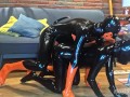 Latex puppies alone T3, Mating - Alex Latex