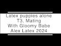 Latex puppies alone T3, Mating - Alex Latex