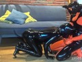 Latex puppies alone T3, Mating - Alex Latex
