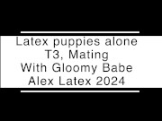 Latex puppies alone T3, Mating - Alex Latex