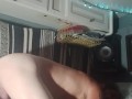 newtoys