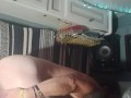 newtoys