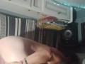 newtoys