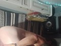 newtoys