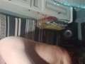 newtoys