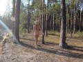 Naked girl walks along the river and forest