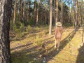 Naked girl walks along the river and forest