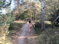 Nude girl walk in forest and No Bra No problem