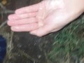 I piss on my hand, which I use to fuck my girlfriend - IkaSmokS
