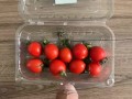 Tomatoes red