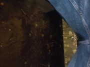 Ginger wets himself on bench