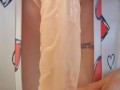 Dildo Tease