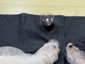 FEET JOI - I TEASE YOU WITH MY FEET