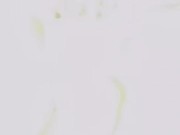 I can take it all Papa