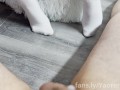 Girl in white socks caresses penis - Trailer
