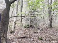 Big ass flashing and pissing in the forest