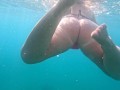 Pawg Swimming In A Thong Bikini - Underwater 4K