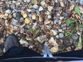 Pee Desperation With Masturbation Attempt But It Was Too Cold Outside For My Cock To Get Hard