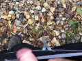 Pee Desperation With Masturbation Attempt But It Was Too Cold Outside For My Cock To Get Hard